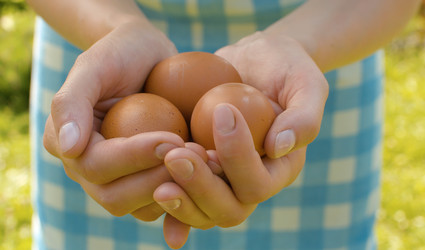 Similar image 21051881