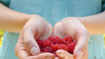 Similar image 21051889