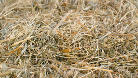 Similar image 21051898