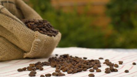 Similar image 21051900