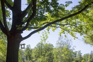 Similar image 21045634