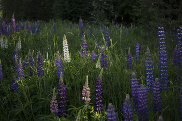 Similar image 21045638