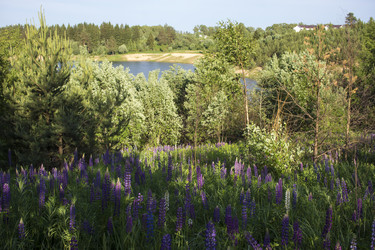 Similar image 21045639