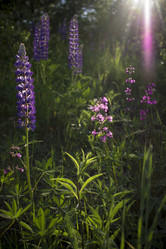 Similar image 21045641