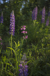 Similar image 21045642