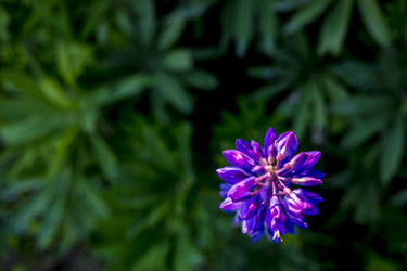 Similar image 21045644