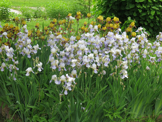 Similar image 21041023