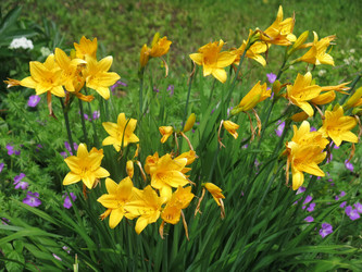 Similar image 21041025