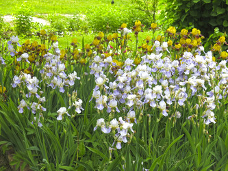 Similar image 21041027