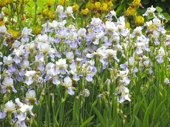 Similar image 21041028