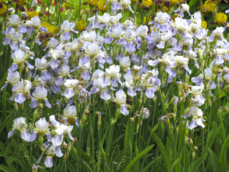 Similar image 21041029