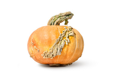 Similar image 21042135