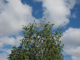 Similar image 21078592