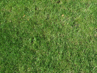 Similar image 21078636