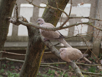 Similar image 21078713