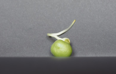 Similar image 21078720