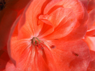 Similar image 21078736