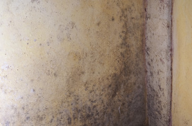 Similar image 21078141