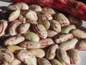 Similar image 21078142