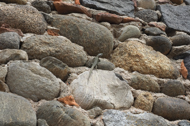 Similar image 21078144