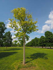 Similar image 21078248