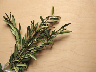 Similar image 21078255