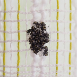 Similar image 21078671