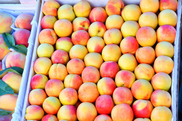 Similar image 21070297