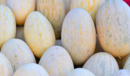 Similar image 21070301