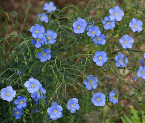 Similar image 21070304