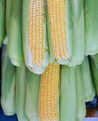 Similar image 21070305