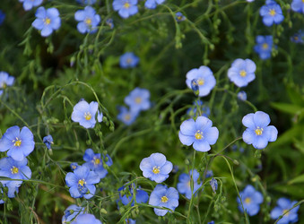 Similar image 21070306