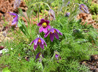 Similar image 21070308