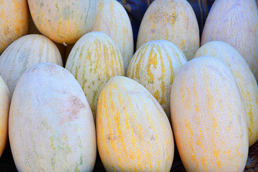 Similar image 21070311