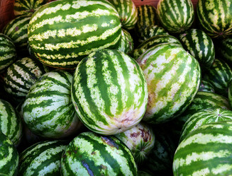 Similar image 21070312