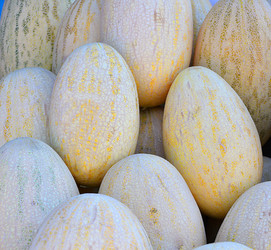 Similar image 21070314