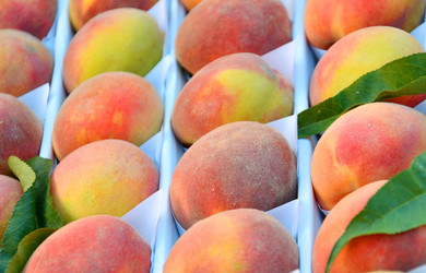 Similar image 21070315