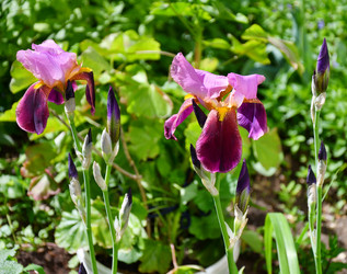 Similar image 21070317