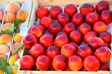 Similar image 21070429