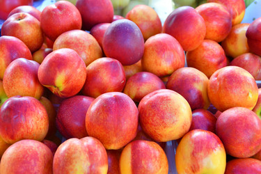 Similar image 21070430