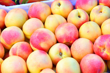 Similar image 21070431