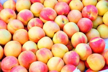 Similar image 21070432