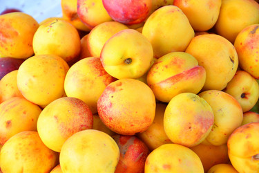 Similar image 21070434