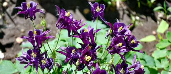 Similar image 21068874