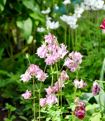 Similar image 21068878