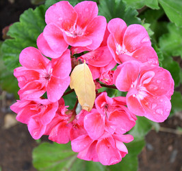 Similar image 21068882