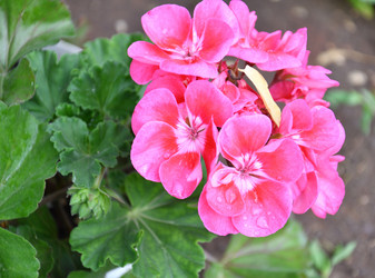 Similar image 21068883