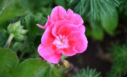 Similar image 21068884