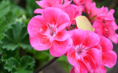 Similar image 21068885