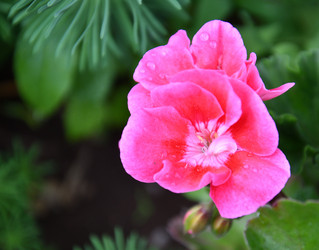 Similar image 21068886